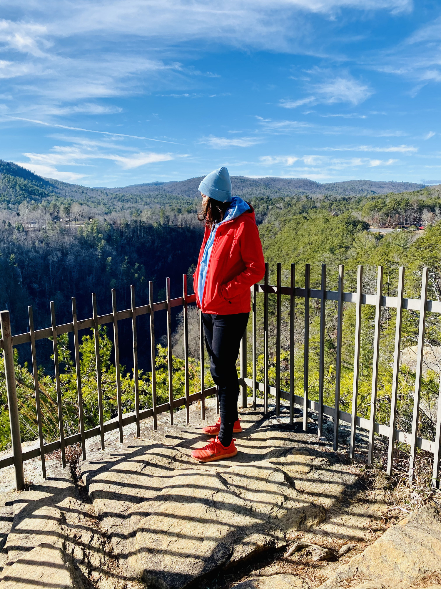 Top 5 Sights to See in Atlanta | Atlanta Luxury Rentals