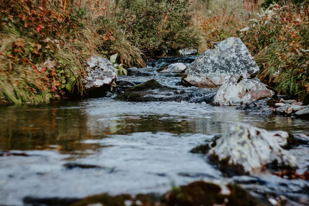 nature-reserve