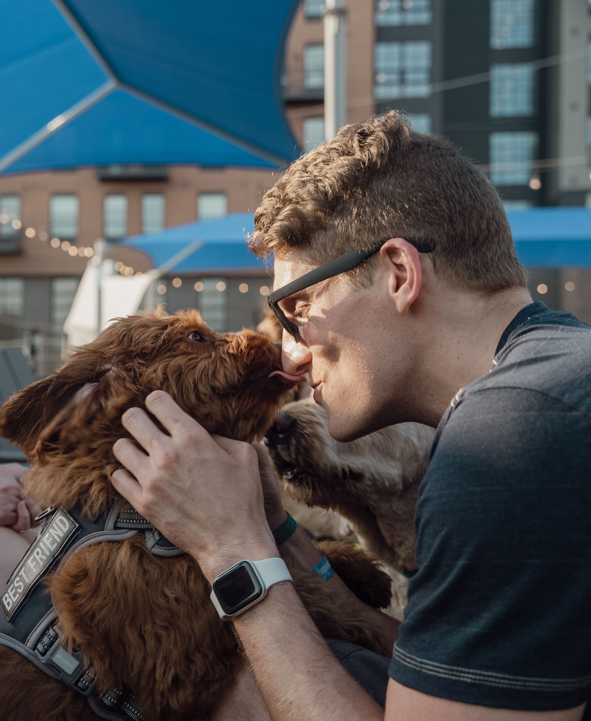 puppy